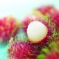 �Conoces el rambut�n y los beneficios de esta fruta?