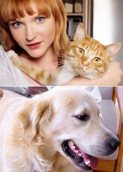 Consejos a tener en cuenta antes de regalar una mascota