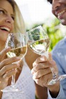 �Toma nota de los beneficios del vino!