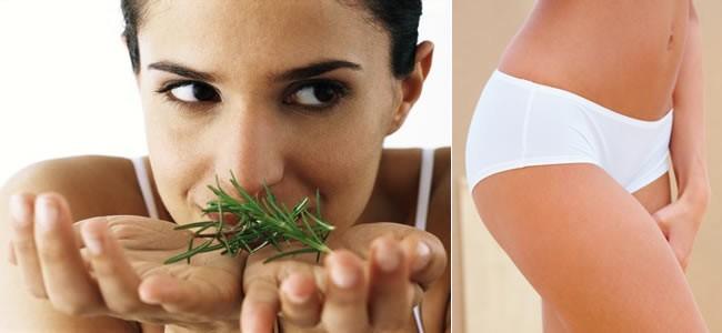 Plantas para combatir la celulitis