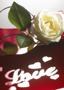 Citas de amor y frases c�lebres