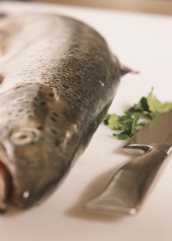 Trucos para el pescado