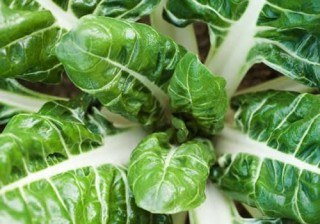 Depúrate y adelgaza gracias a las acelgas