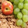 Prevenci�n del c�ncer de mama: m�s fibra y menos grasa