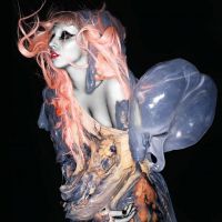 Lady Gaga ofreci� una original sesi�n fotogr�fica en su �ltim disco