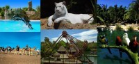 Canarias y Portaventura: dos destinos de verano para disfrutar en familia