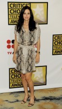 Courtney Cox sigue las tendencias de las pasarelas
