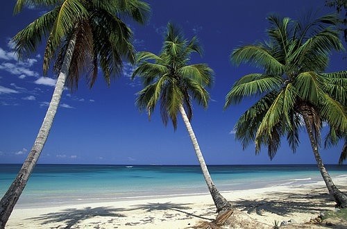 Playa Palm Beach en El Caribe