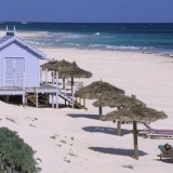 Pink Sand Beach en Las Bahamas