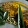 Ir a la foto Las especias, imprescindibles en la cocina hindú