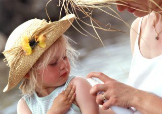 Insectos en verano: soluciones para alejar de tu casa moscas, mosquitos, hormigas, arañas...
