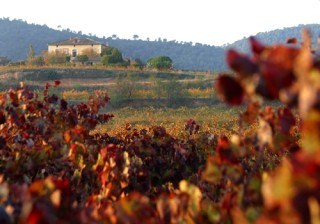 Los mejores hoteles enológicos de España