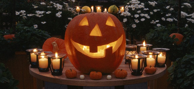 Soluciones decorativas para Halloween rápidas, fáciles y ¡terroríficas!