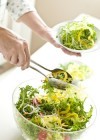 Dieta vegetariana depurativa ¡adiós toxinas!