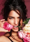 Propiedades y beneficios de la rosa ¡descubre lo que puede hacer por tu belleza!