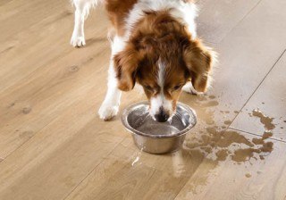 Trucos caseros para limpiar con ingredientes naturales