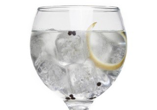 10 trucos para servir el mejor gintonic