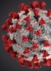 Todo sobre el coronavirus Covid19: síntomas, prevención y cómo evitar el pánico social