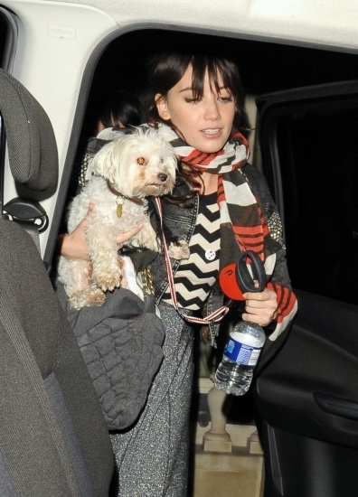 Foto La modelo Daisy Lowe con su perrito