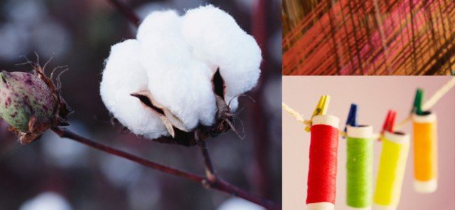 Foto El algodón: ¿un tejido aconsejable para el verano