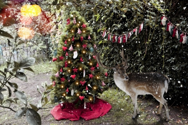 Foto Luces y árbol de Navidad