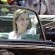Ver la foto Doña Letizia hizo el recorrido en coche sentada tras la coronación de Felipe VI