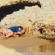 Ir a la foto Antonio Canales y su novio: ¡pura pasión en la playa!