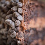 Las bebidas perfectas a combinar con postres ¡al chocolate!