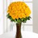 Ir a la foto Las flores amarillas representan energía, optimismo, creatividad y claridad