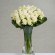 Ir a la foto Las flores blancas simbolizan la bondad y la pureza, la paz, la inocencia, estabilidad y calma