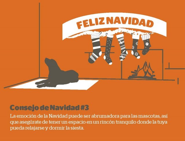 Foto Crea un rincón tranquilo en el hogar para que las mascotas puedan descansar en Navidad