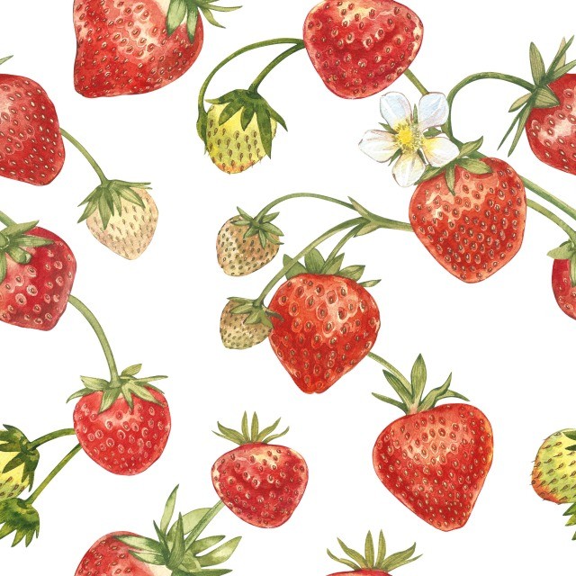 Foto Las fresas ayudan a prevenir granos Foto Las fresas ayudan a prevenir granos