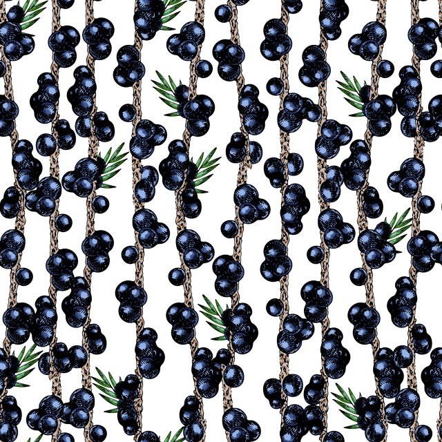 Foto Las bayas de açai, un poderoso antioxidante para la piel Foto Las bayas de açai, un poderoso antioxidante para la piel