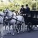 Ir a la foto María Toledo llegó a su boda con Esaú Fernández en un coche de caballos