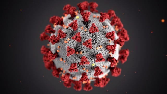 Foto Cómo afrontar la pandemia por el nuevo coronavirus Covid19